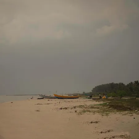 Waves And Shores Beach Villa Mararikulam Exterior photo